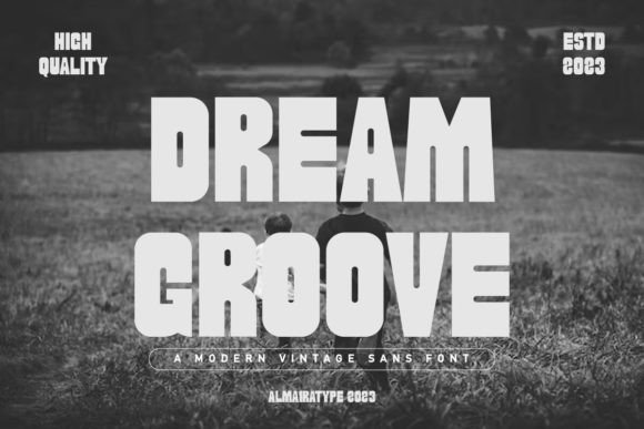 Choosing Dream Groove for a Polished Web Design