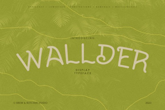 Wallder: The Creative Font That Stops Scrolling